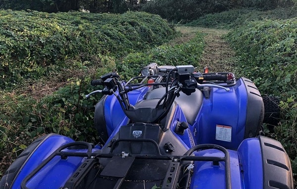 Chapman atv flail mower cutting through thick vegetation