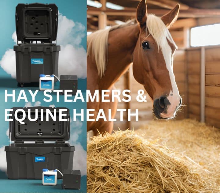 Hay Steamers and Equine Care