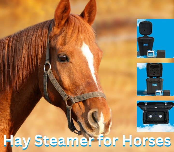 Ultimate Guide to Hay Steamer for Horses Benefits and FAQs