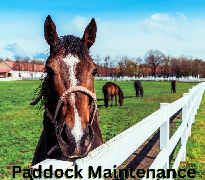 Paddock maintenance tools for healthy paddocks
